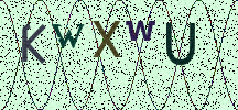 Visual Confirmation Security Code