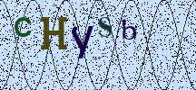 Visual Confirmation Security Code