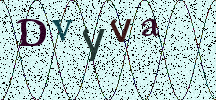 Visual Confirmation Security Code