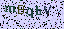 Visual Confirmation Security Code