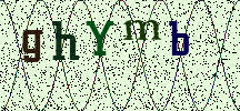 Visual Confirmation Security Code