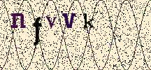 Visual Confirmation Security Code
