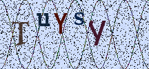 Visual Confirmation Security Code
