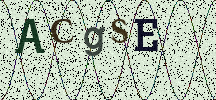 Visual Confirmation Security Code