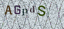 Visual Confirmation Security Code