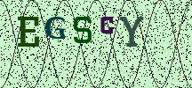 Visual Confirmation Security Code