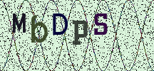 Visual Confirmation Security Code
