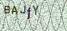 Visual Confirmation Security Code