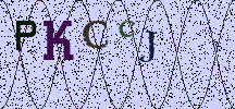 Visual Confirmation Security Code