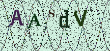 Visual Confirmation Security Code