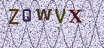 Visual Confirmation Security Code