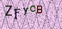 Visual Confirmation Security Code