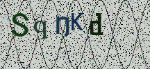 Visual Confirmation Security Code