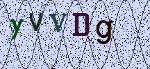 Visual Confirmation Security Code