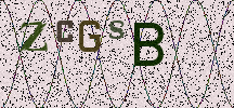 Visual Confirmation Security Code