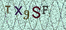 Visual Confirmation Security Code