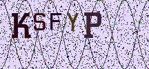 Visual Confirmation Security Code
