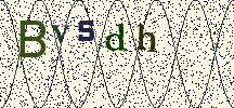 Visual Confirmation Security Code