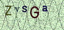 Visual Confirmation Security Code