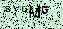 Visual Confirmation Security Code