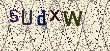 Visual Confirmation Security Code