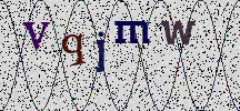 Visual Confirmation Security Code